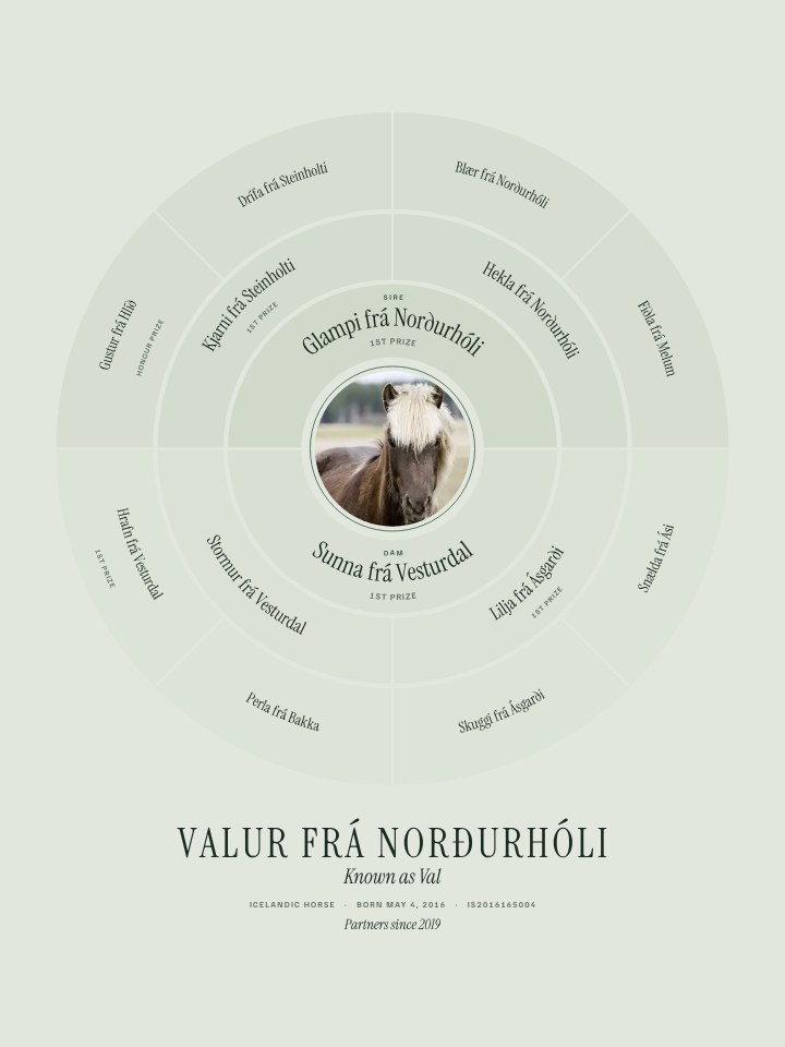 Ring design with a horse's pedigree